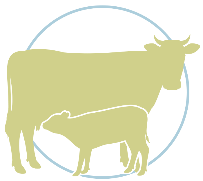 Fleisch aus der Haltung von Edelrassen